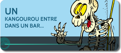 Histoire d'un kangourou dans un bar
