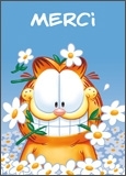 Carte Garfield