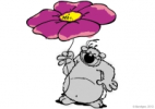Coloriage Coloriage de koline-dewit