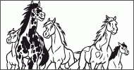 Coloriage Chevaux sauvages