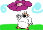 Coloriage Coloriage de chouque