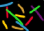 Coloriage Dessin de loulou67