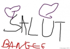 Coloriage Dessin de dauphin