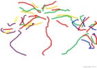 Coloriage Dessin de alexis54