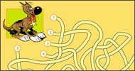 Lucky Luke : Le bon chemin