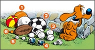 Boule et Bill : Chercher la baballe