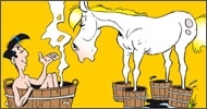 Lucky Luke : Brin de toilette