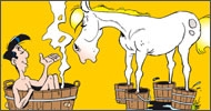 Lucky Luke : Brin de toilette