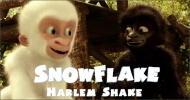Snowflake danse le Harlem Shake.