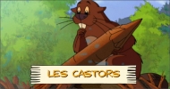 Les castors