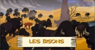 Les bisons