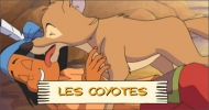 Les coyotes