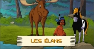 Les élans