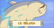 Le béluga