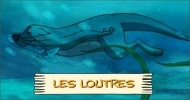 Les loutres