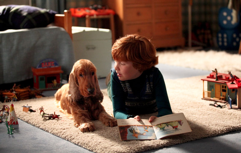 Test du bbcode FluxBB